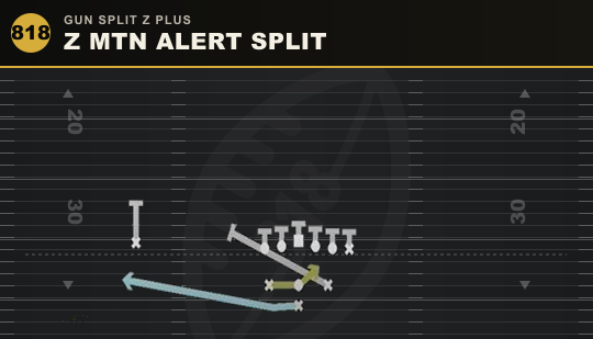 Z MTN ALERT SPLIT from Gun Split Z Plus