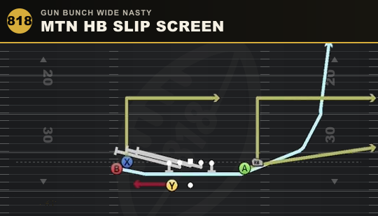 MTN HB SLIP SCREEN from Gun Bunch Wide Nasty