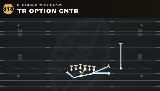 TR OPTION CNTR from Flexbone Over Heavy