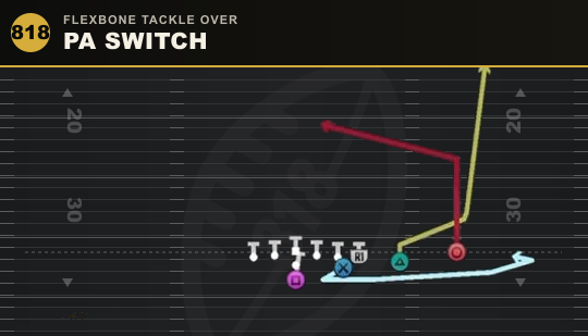 PA SWITCH from Flexbone Tackle Over