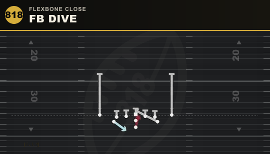 FB DIVE from Flexbone Close