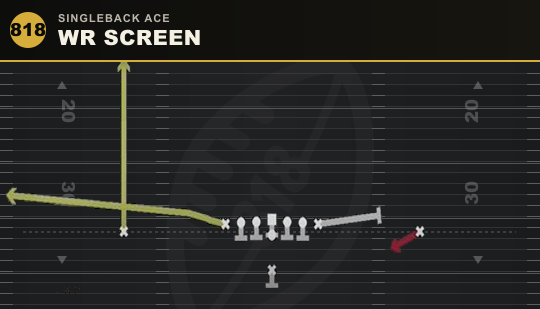 WR SCREEN from Singleback Ace