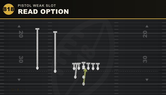 READ OPTION from Pistol Weak Slot
