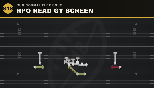 RPO READ GT SCREEN from Gun Normal Flex Snug