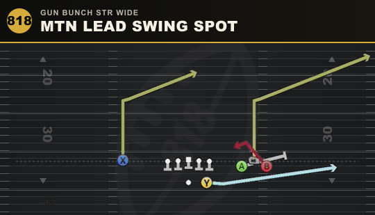 MTN LEAD SWING SPOT from Gun Bunch Str Wide