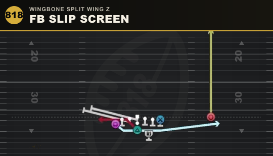 FB SLIP SCREEN from Wingbone Split Wing Z