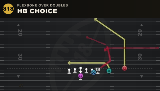 HB CHOICE from Flexbone Over Doubles
