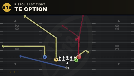 TE OPTION from Pistol East Tight