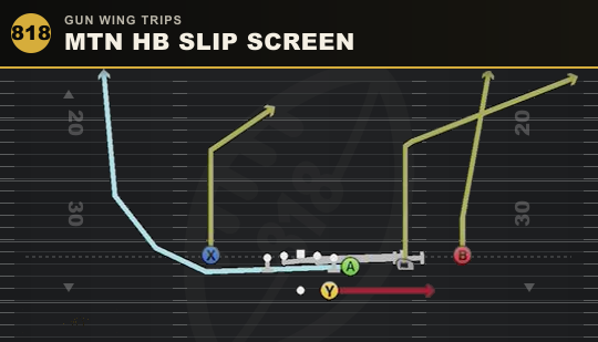 MTN HB SLIP SCREEN from Gun Wing Trips