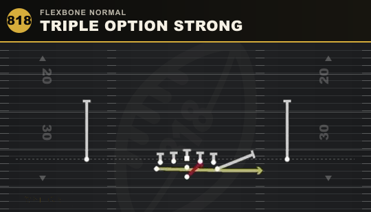 TRIPLE OPTION STRONG from Flexbone Normal