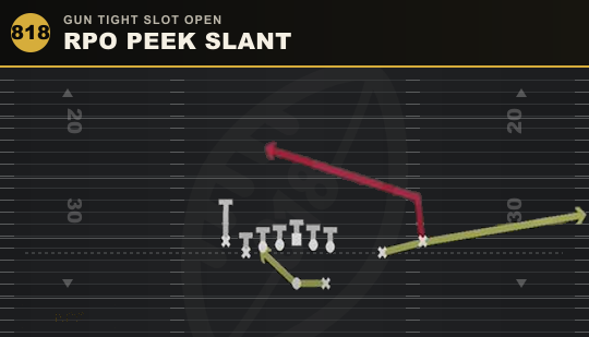 RPO PEEK SLANT from Gun Tight Slot Open