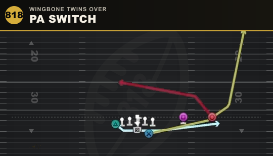 PA SWITCH from Wingbone Twins Over