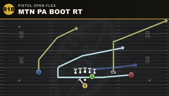 MTN PA BOOT RT from Pistol Open Flex