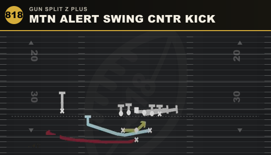 MTN ALERT SWING CNTR KICK from Gun Split Z Plus