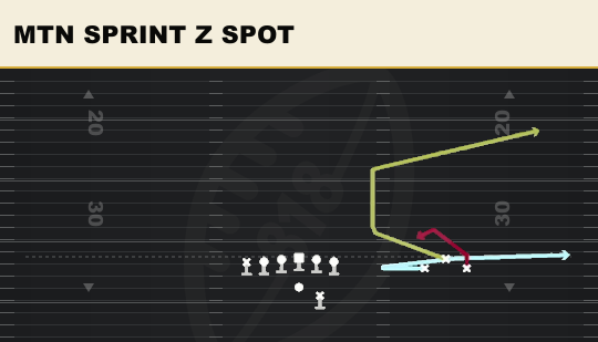 MTN SPRINT Z SPOT from Bunch Open TE