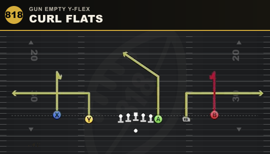 CURL FLATS from Gun Empty Y-Flex