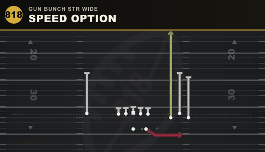 SPEED OPTION from Gun Bunch Str Wide