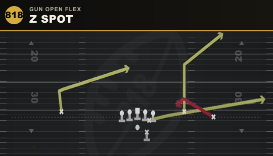 Z SPOT from Gun Open Flex