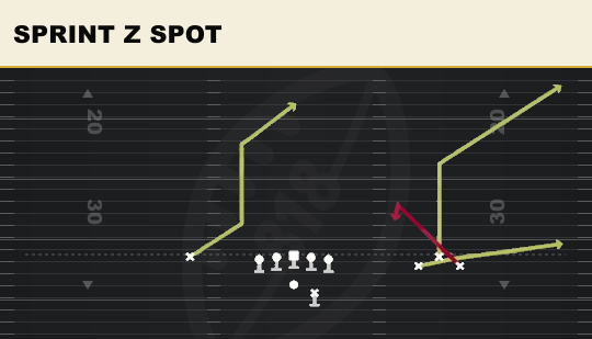 SPRINT Z SPOT from Bunch Open Offset