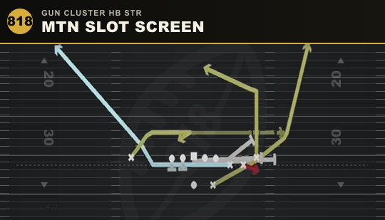 MTN SLOT SCREEN from Gun Cluster HB Str