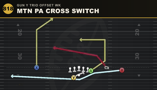MTN PA CROSS SWITCH from Gun Y Trio Offset Wk