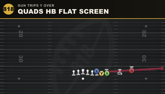 QUADS HB FLAT SCREEN from Gun Trips Y Over