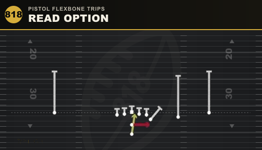READ OPTION from Pistol Flexbone Trips