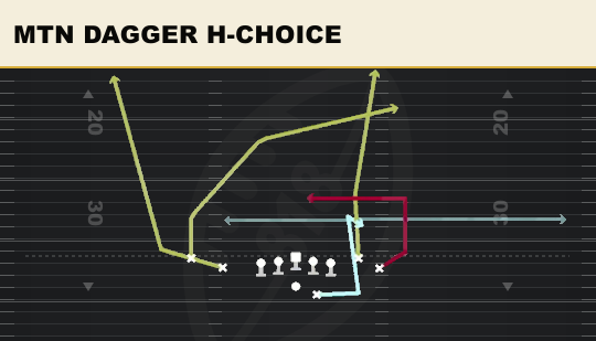 MTN DAGGER H-CHOICE from Tight Flex Offset