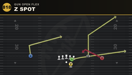 Z SPOT from Gun Open Flex