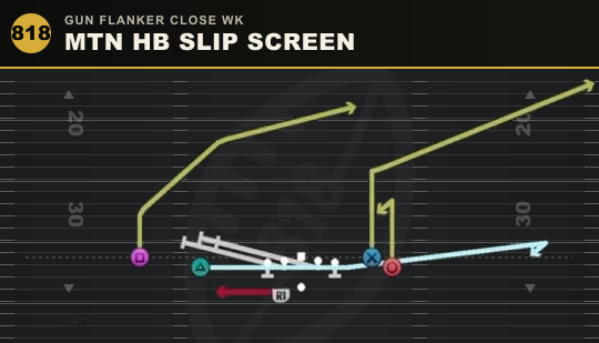 MTN HB SLIP SCREEN from Gun Flanker Close Wk