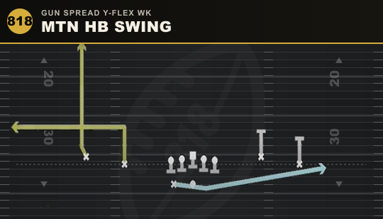 MTN HB SWING from Gun Spread Y-Flex Wk
