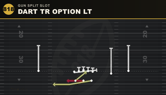 DART TR OPTION LT from Gun Split Slot