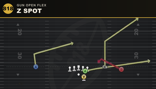 Z SPOT from Gun Open Flex