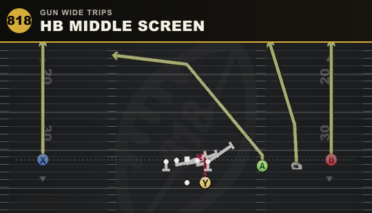 HB MIDDLE SCREEN from Gun Wide Trips