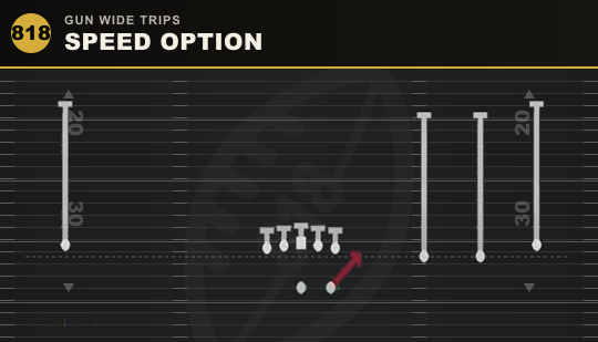 SPEED OPTION from Gun Wide Trips