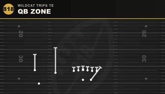 QB ZONE from Wildcat Trips TE