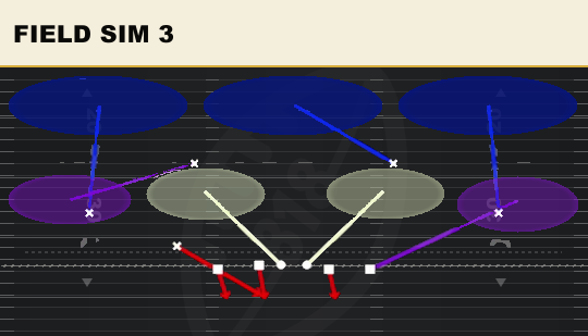 FIELD SIM 3 from 2-4 Dbl Mug