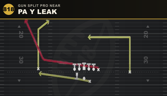 PA Y LEAK from Gun Split Pro Near