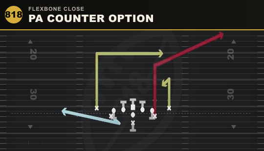 PA COUNTER OPTION from Flexbone Close