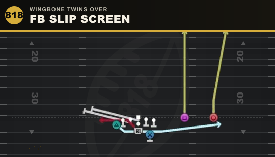 FB SLIP SCREEN from Wingbone Twins Over