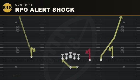 RPO ALERT SHOCK from Gun Trips