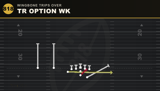 TR OPTION WK from Wingbone Trips Over
