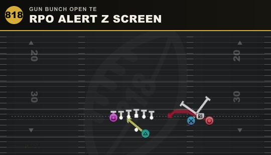RPO ALERT Z SCREEN from Gun Bunch Open TE