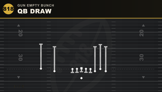 QB DRAW from Gun Empty Bunch