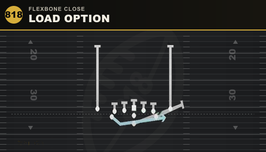 LOAD OPTION from Flexbone Close