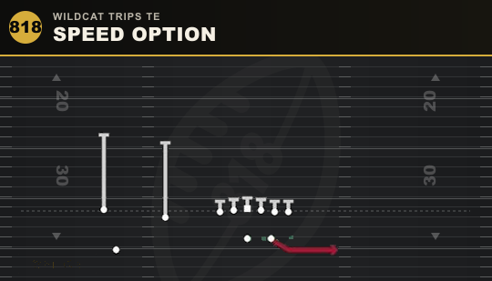 SPEED OPTION from Wildcat Trips TE