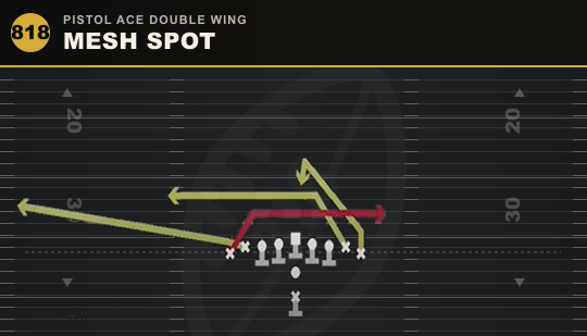 MESH SPOT from Pistol Ace Double Wing