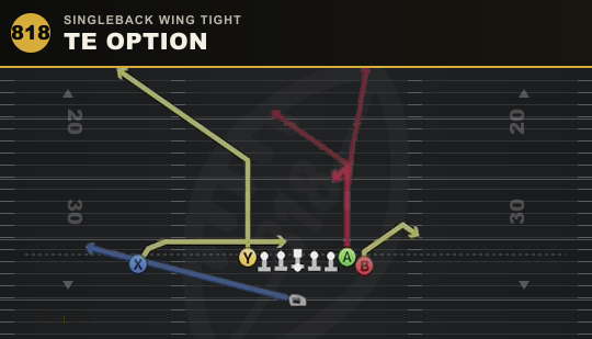 TE OPTION from Singleback Wing Tight