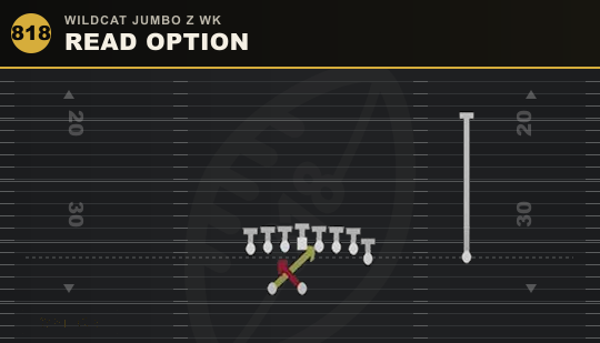 READ OPTION from Wildcat Jumbo Z Wk