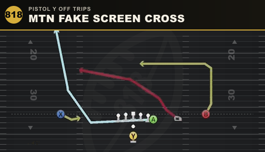 MTN FAKE SCREEN CROSS from Pistol Y Off Trips